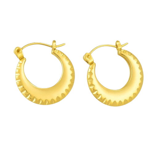 Gold-Plated Stainless Steel Hoop Earrings
